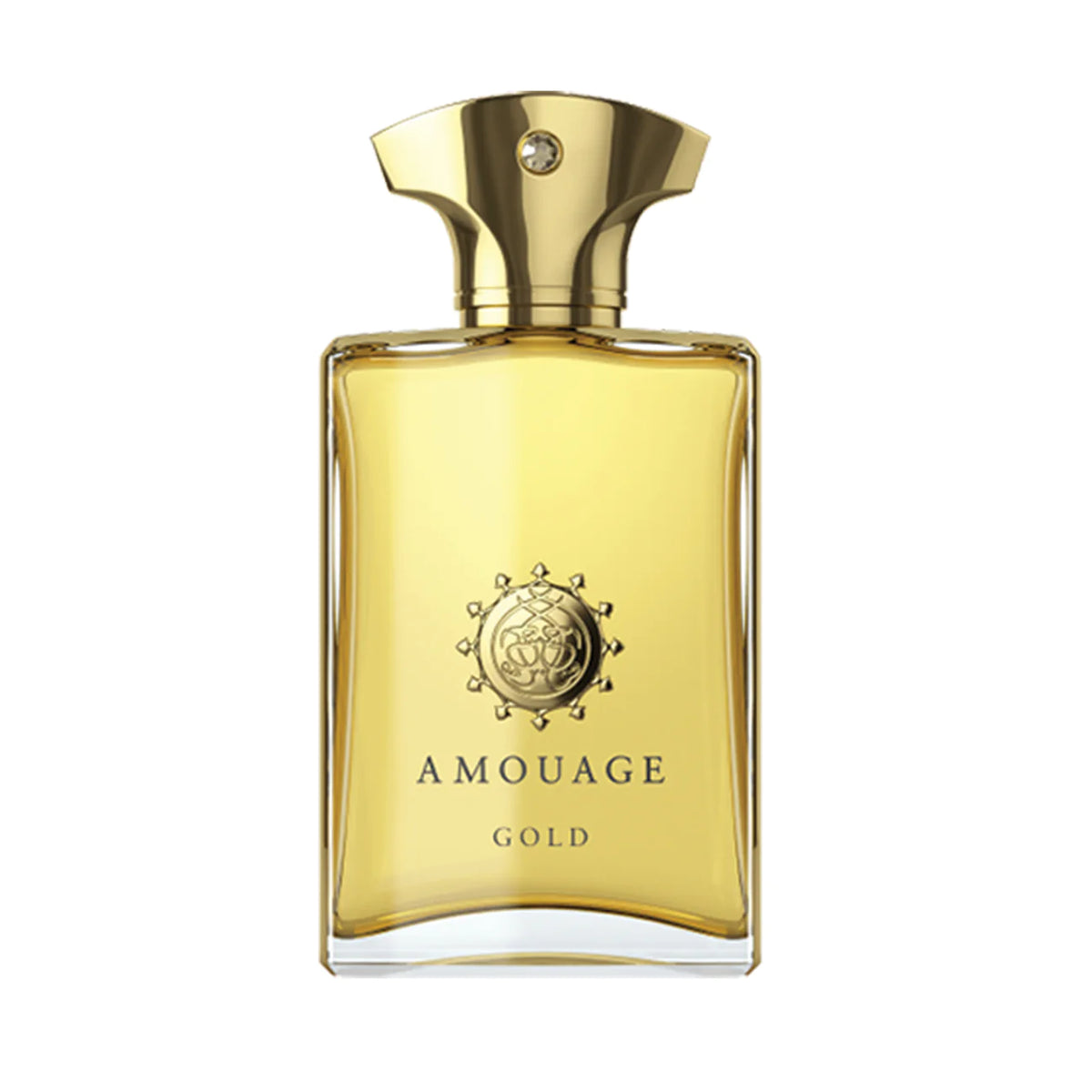 AMOUAGE GOLD MAN EDP 100 ML